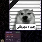 Photo by شمع‌گرا (@neverbeenaram)
