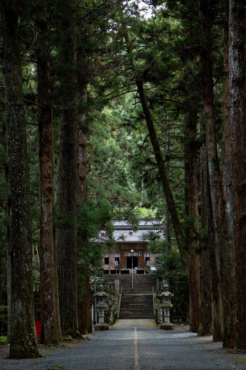 GunBoy0701's tweet photo. 内尾神社 丹波市
鳥居をくぐると、静寂と冷気に包まれます。 https://t.co/yLuLEEkdsT