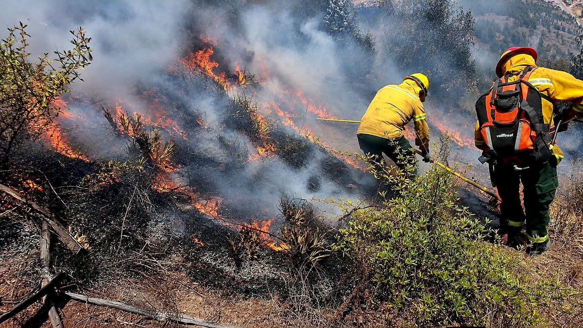thvianyel's tweet photo. LOS INCENDIOS EN CUSCO NO SOLO ESTAN DESTRUYENDO HECTÁREAS, ESTAN DEJANDO ANIMALES QUEMADOS Y HERIDOS AL IGUAL QUE PERDIDAS HUMANAS, LES DEJO INF SOBRE LA SITUACIÓN ESPERANDO A QUE AYUDEN A DIFUNDIR Y PUEDAN TAMBIEN DONAR 🚨🚨🚨 https://t.co/5iIFrCKA8u
