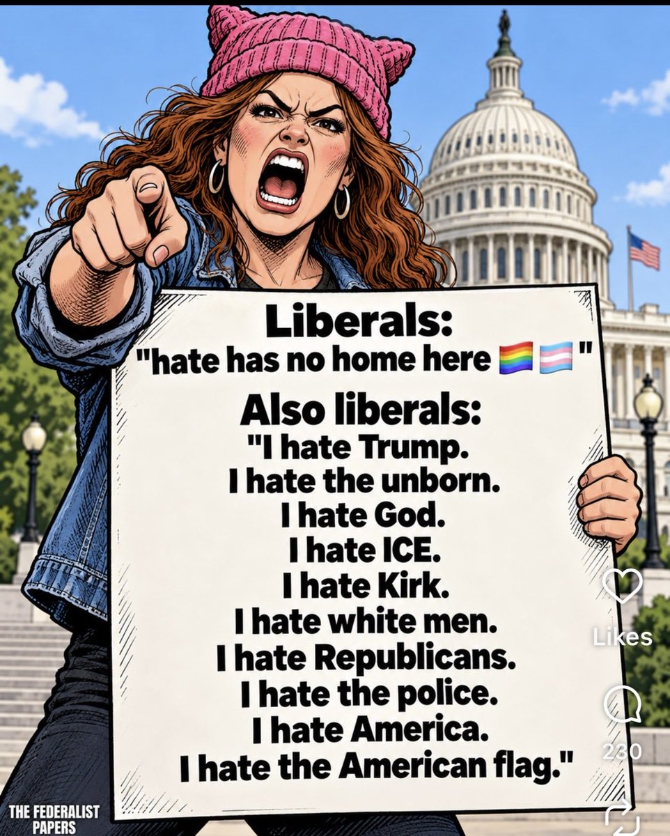 NowPammsy's tweet photo. I think this pretty much nails liberals today! 

Their hate overrides their common sense, unfortunately. 

I don’t understand how anyone could vote for a Democrat now! A vote for them is to destroy America 🇺🇸 &amp; everything good. 

Vote Red to keep their hate out of office! 👊🏻❤️🇺🇸 https://t.co/GeqYtou6Dm
