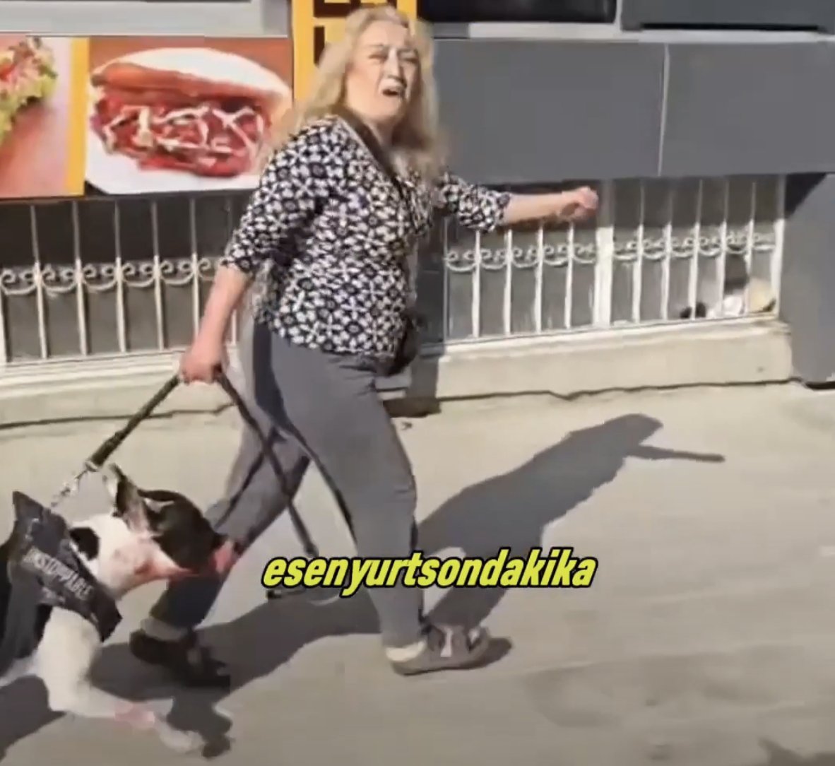 Munis_6's tweet photo. @darkwebhaber Pitbull cinsi köpek dışarı çıkarmış ağzında ağızlık yok Bir de mağduru oynuyor @EmniyetGM @TC_icisleri umarım gerekli ceza işlem uygulanır https://t.co/aiGWQR9YF6