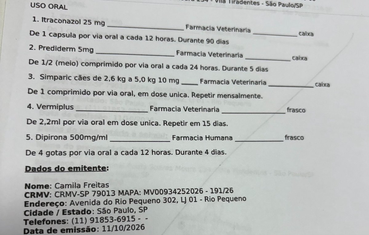 nathxazuos's tweet photo. Galera preciso de um help novamente mil perdões. Esse aqui ta muito pior que imaginei. Além de vários machucados, ele está com sarna e com uma inflamação horrível no ouvido. Só o remédio pra sarna vai ser quase mil reais, não estava contando com esse gasto. Além disso, a pessoa que ia dar lar temporário desistiu e acho difícil alguém dar lar temporário nesse estado, então vou ter que acabar 
pagando por um lar temporário. Vou abrir uma vakinha pro tratamento dele e quem puder ajudar com qualquer valor ou compartilhando serei muito grata. Pix:

resgatadosdanat@gmail.com
