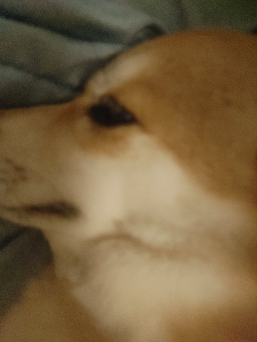 A8fjtjd's tweet photo. 酔って帰っちきたらこれ、幸せすぎ大しゅき。彼女なんていらないわ笑 https://t.co/KrshlKLiLT