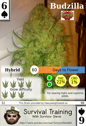 TradingCards420's tweet photo. OG Deck #2 https://t.co/C0qkFzT5UA