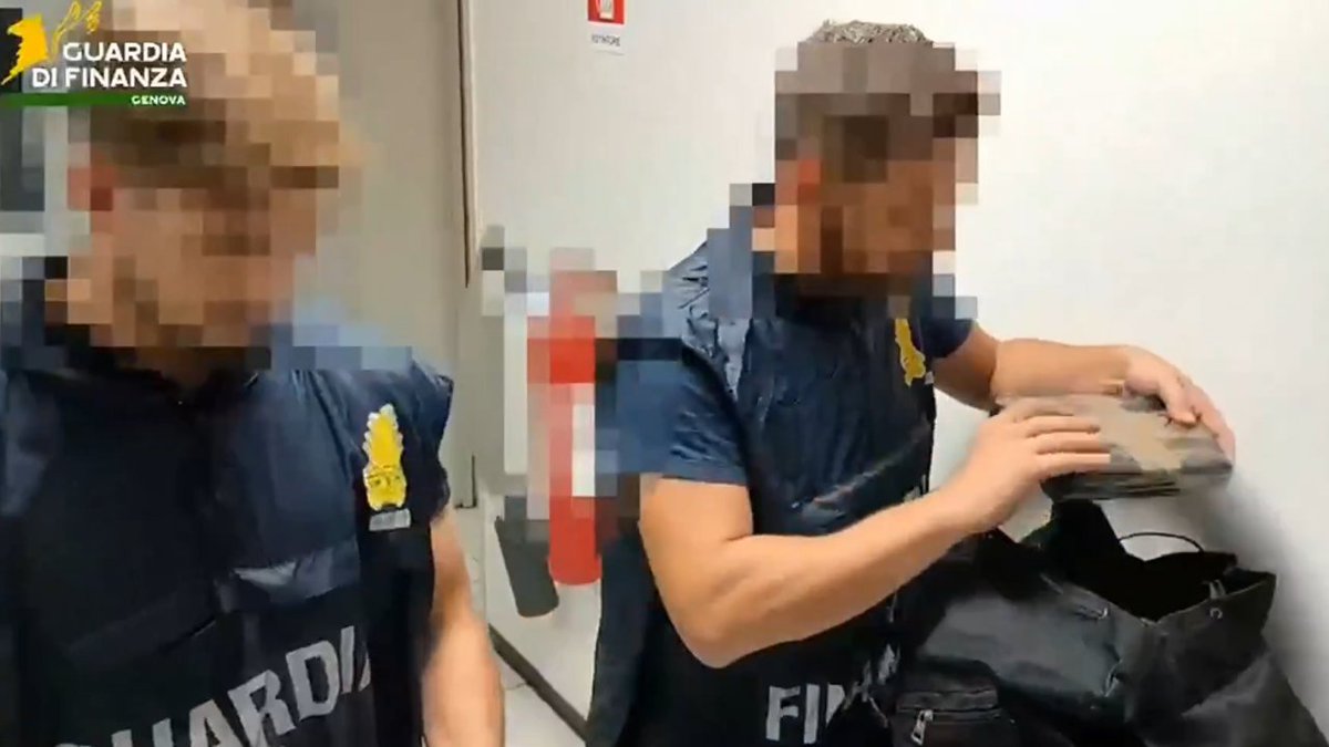 narcodiario's tweet photo. Cazados in fraganti rescatadores de #COCAÍNA en el puerto de #pra #genova
https://t.co/dQYQ17hXFS https://t.co/tTNgb6bMuC