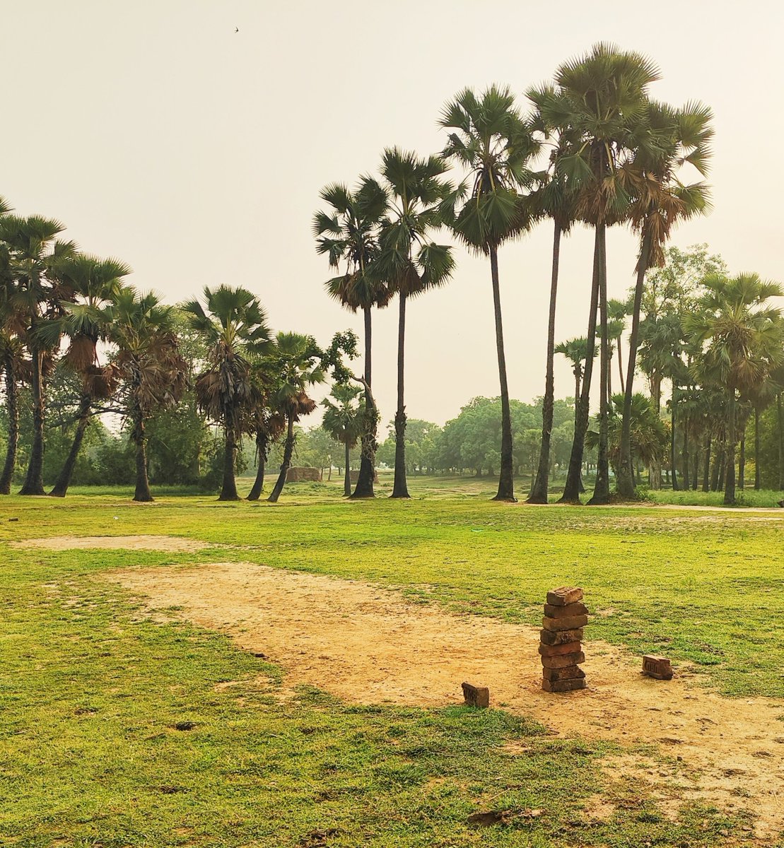 jnpankaj's tweet photo. Countryside Cricket. https://t.co/gYaBl5s3pq