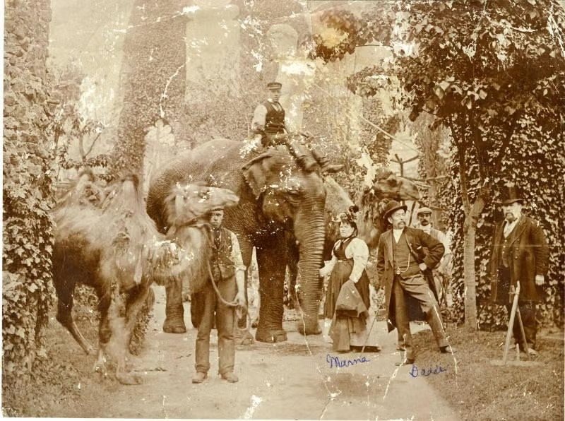 Footyorigin's tweet photo. Late 1890s, John Sanger’s circus billed their football-playing elephants as “the greatest novelty in the world.”

Elephants took on six clowns with a ball six times the normal size. Then local pros (Leicester Fosse lads among them) stepped up for penalty shootouts against the star elephant for a massive goblet.
Most lost.

Absolute scenes. 🐘⚽️
#FootyOrigin