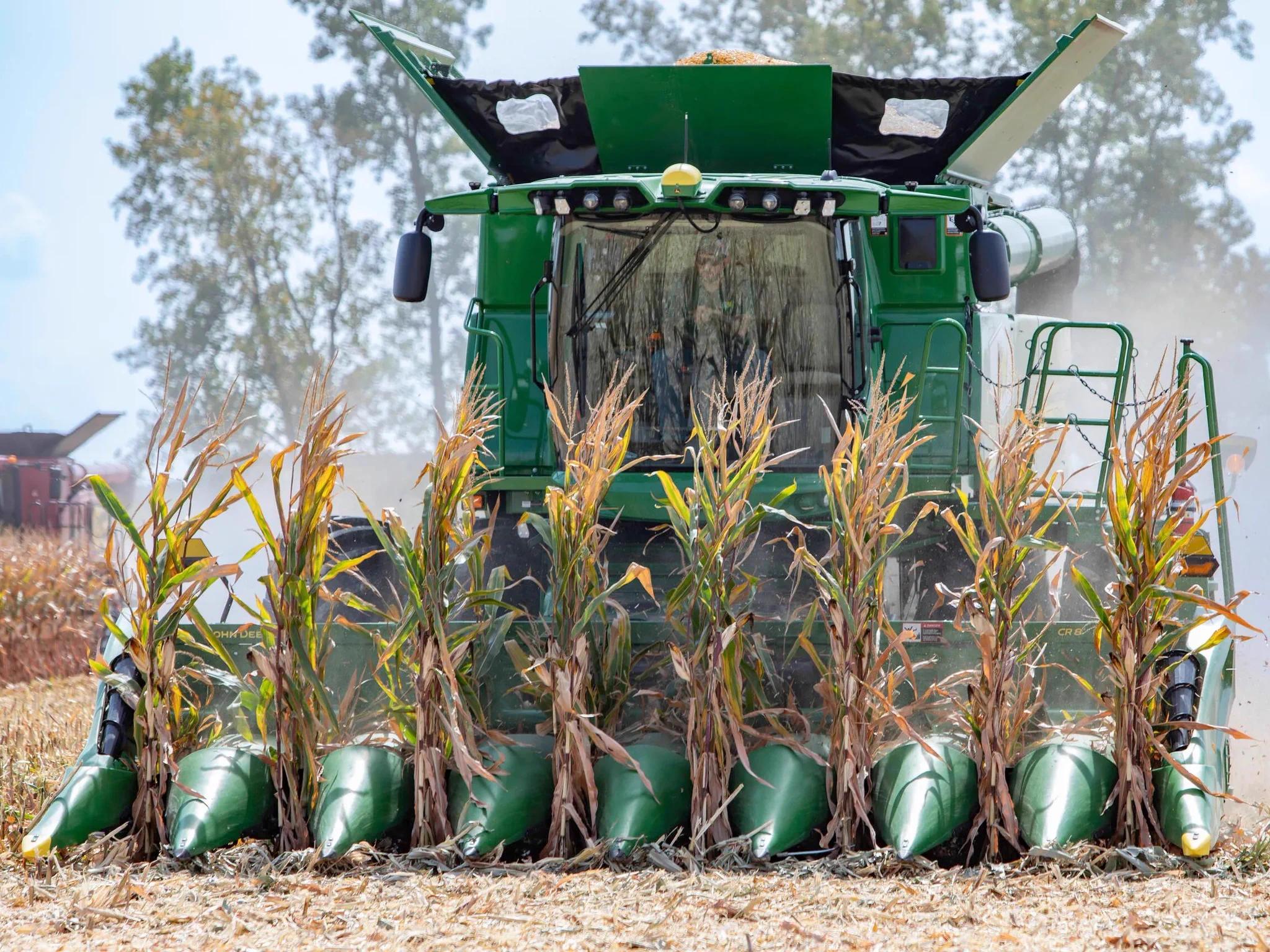 A man in a green tractor harvests crops.