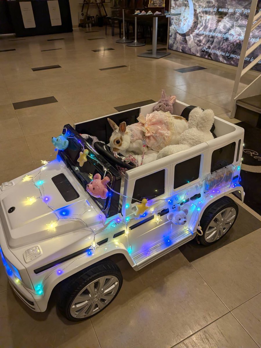 okeiv_v's tweet photo. れいことれいこの旦那さんとなっちゃんが来てくれたり、職場の先生たちも着物なのにジャンボリミッキーのレクチャーしてくれたり、おみう氏がエレクトリカルパレードで登場したり、司会の方におみう氏のおやつももらったり、明日から仕事なの辛😭 https://t.co/Y7rc9BQ2X3