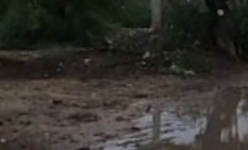 ZZRRYT's tweet photo. @D162Michele You did it for a random Indian location and there's no large pile of trash? There are still some but this is still too clean. https://t.co/SqCoT7hv2E