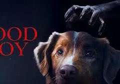grpr85's tweet photo. Good Boy. Pure vibes and zero substance.  A bunch of creepy pasta clips stitched together to form a full length movie that feels like 3 hours https://t.co/vkeZQ1qqif