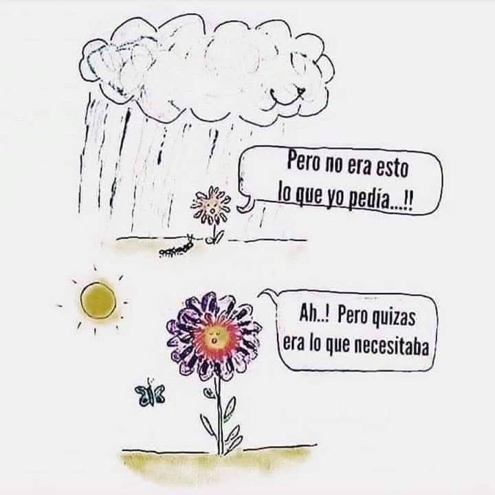 Eder_Aguirre's tweet photo. ¡Buenos días! Que tengan un buen lunes y una semana agradable.
Confía en tus procesos, sé quién más esté atento de ti. https://t.co/nrfgz9p0tz