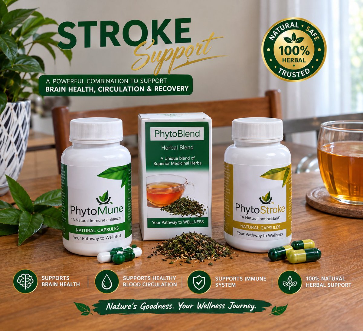 AMGmopedi's tweet photo. 💚Stay Healthy with Phythomed 
Brain Health, Support Blood circulation support Immune System 
#health #Pythomed #vamoscolocoloctm  #cancer 
WhatsApp 0638724061 https://t.co/wKwMlugPKz