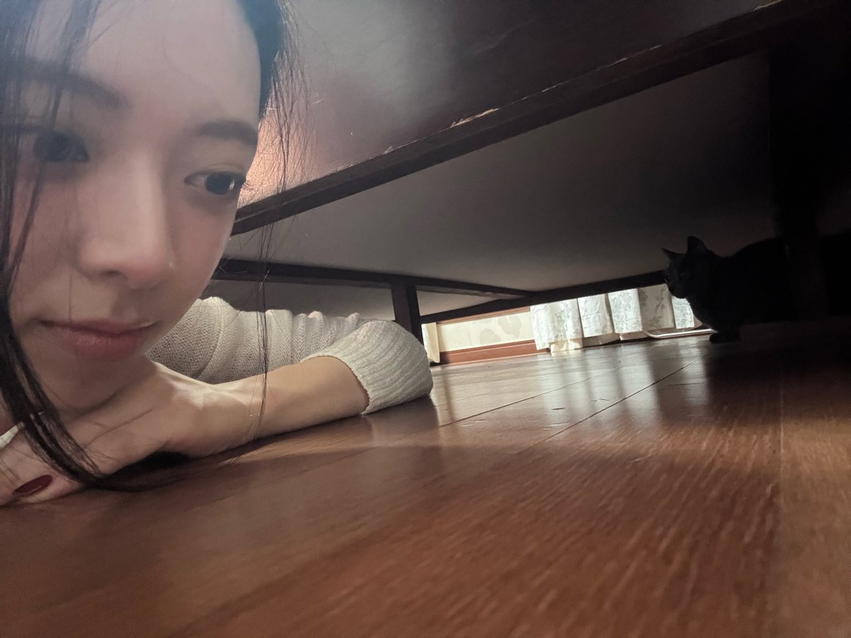 statsofshinyuna's tweet photo. [🫧]

​#YUNA shared a new update with her cat, Sarang, on Bubble 🐈‍⬛

​🐰: It’s really not easy getting into the same frame as Sarang... https://t.co/Tw0DHZvRga
