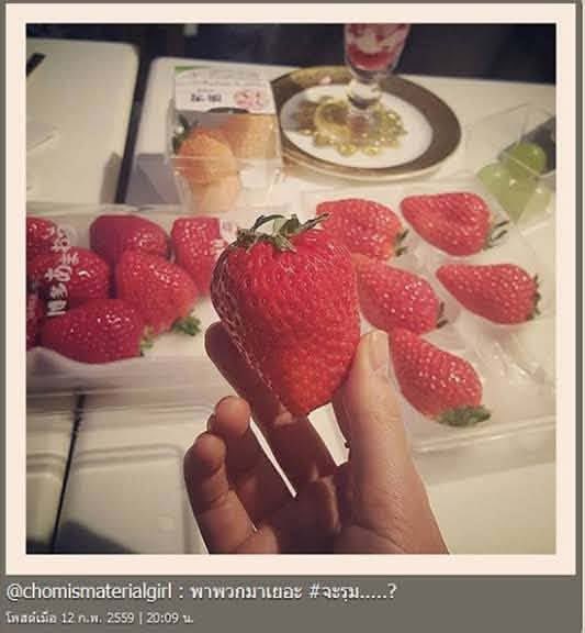 korfor29's tweet photo. จะรุมอะไรก็ดูก่อนนนนนนน 😜🍓
#saveพายุ #พายุ #แม่ชม https://t.co/wZ2pj3abLy
