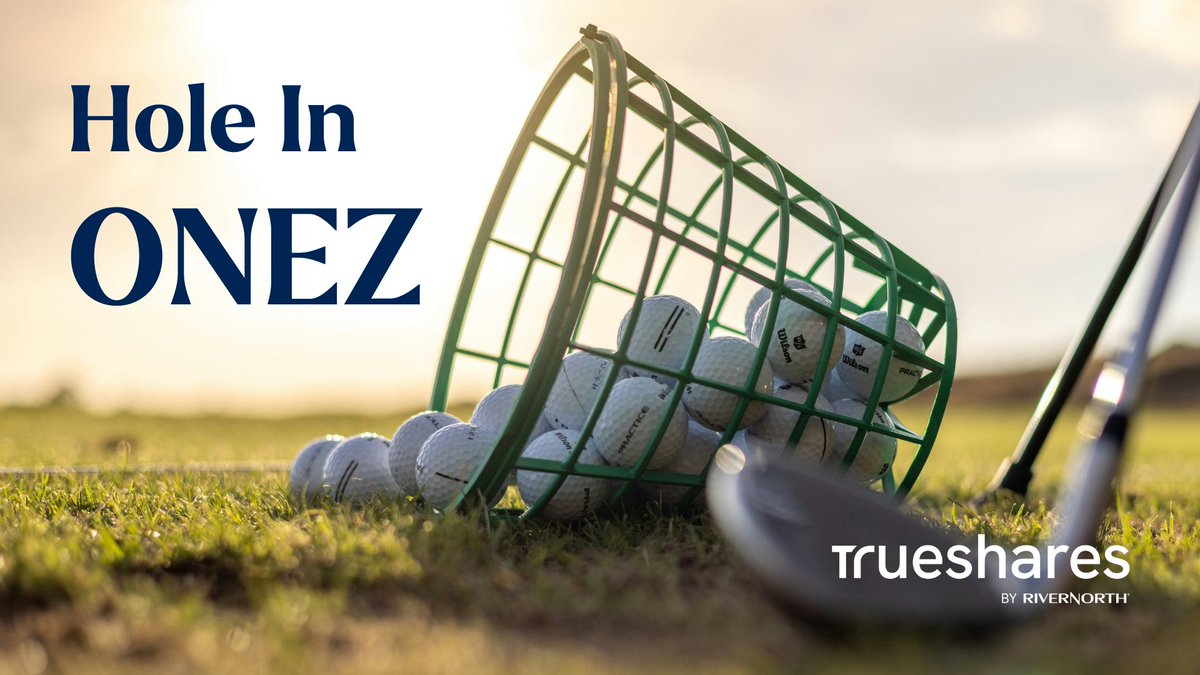 TrueShares's tweet photo. $ONEZ aims to achieve capital appreciation with the potential for reduced volatility via a dual strategy fund-of-funds approach - investing in a variety of defined outcome and hedging strategies.

Learn More: https://t.co/m1vnkYpRhX
#CboeListed https://t.co/VfqenQLPO0