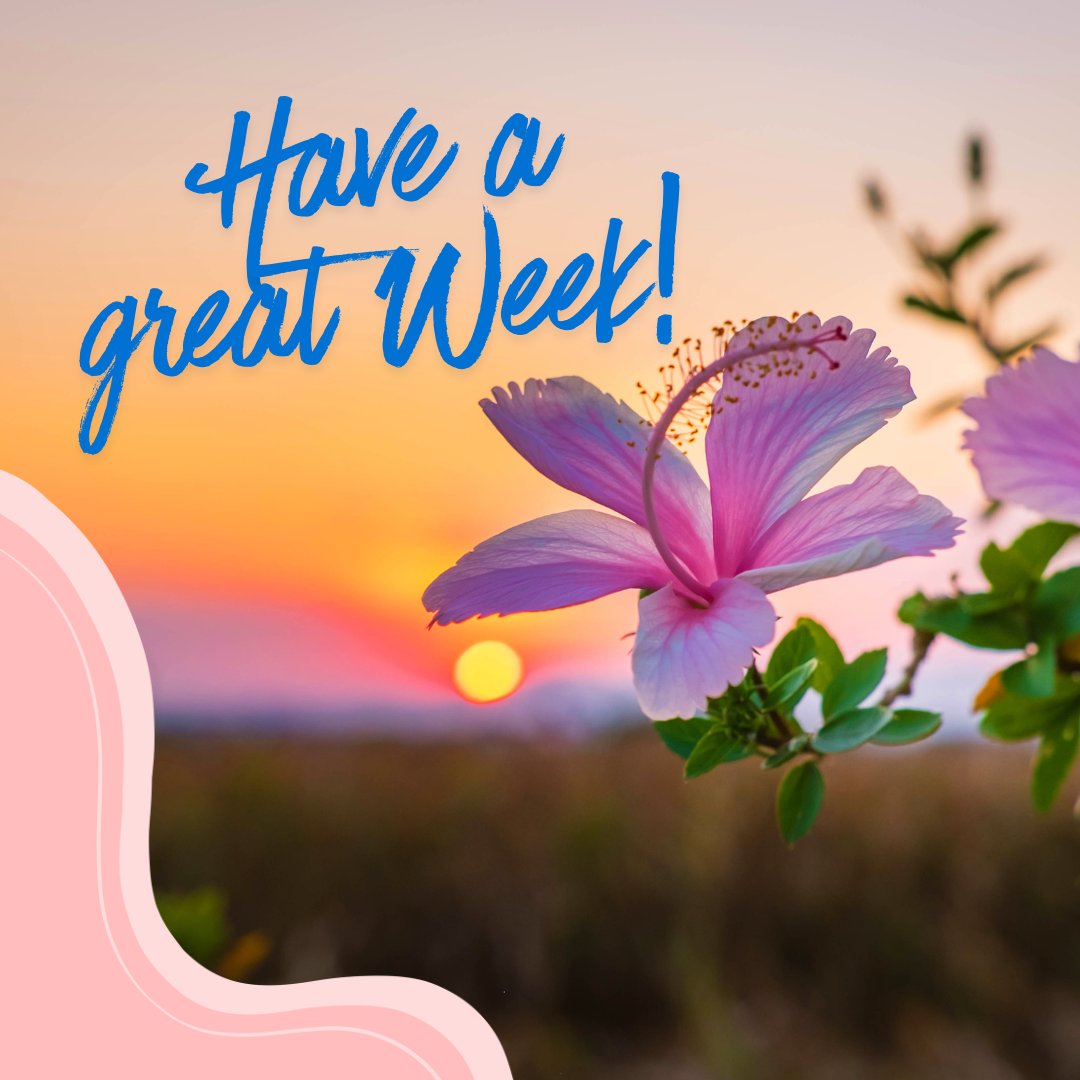 deboxify's tweet photo. Happy Monday! Wishing you a great week ahead! Deboxify https://t.co/MbuUeCpZYi #HappyMonday #GreatWeek #HaveAGreatWeek https://t.co/xmuoPlejM3