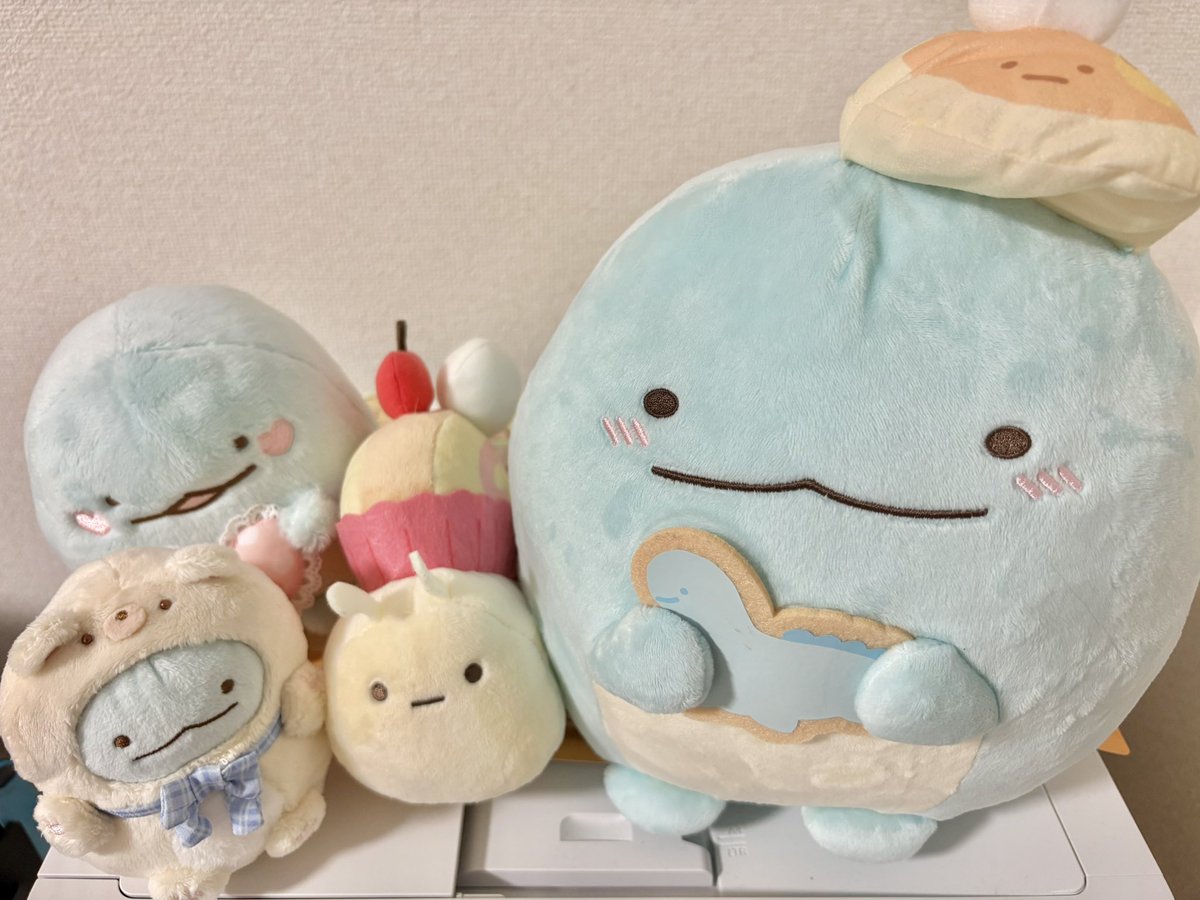 rco_un's tweet photo. @yasyagosio ほい
今日じゃないけど最近お迎えしたハートとかちゃんもかわいいから入れといた
みんな結構でかめでかわいいですわ🥹 https://t.co/IDKXhV6GL5