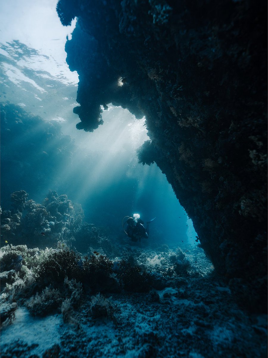 VisitSaudi's tweet photo. Save room in the itinerary for this 🪸🤿
Head out to the outer reef and snorkel through one of The Red Sea’s most incredible landscapes.
​
📍 Six Senses Southern Dunes Resort, The Red Sea
​
Make your way there:
https://t.co/3ZULF5PPJ7
​
#VisitSaudi https://t.co/Y6OyJWRDCv