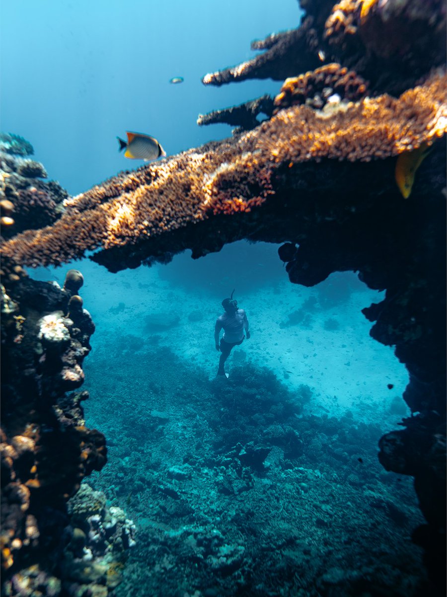 VisitSaudi's tweet photo. Save room in the itinerary for this 🪸🤿
Head out to the outer reef and snorkel through one of The Red Sea’s most incredible landscapes.
​
📍 Six Senses Southern Dunes Resort, The Red Sea
​
Make your way there:
https://t.co/3ZULF5PPJ7
​
#VisitSaudi https://t.co/Y6OyJWRDCv