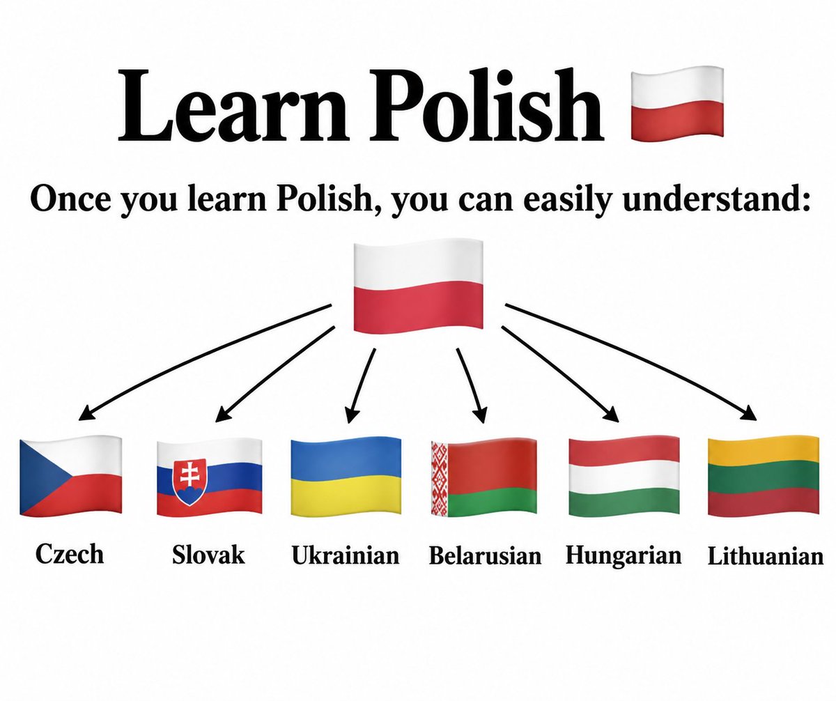 d_foubert's tweet photo. Learn Polish once. Unlock Central and Eastern Europe forever.
Polish is the universal language of everything east of Berlin.
Hungarians and Lithuanians will deny this only because they're afraid of how powerful Polish really is. https://t.co/nlmoJBy0nk