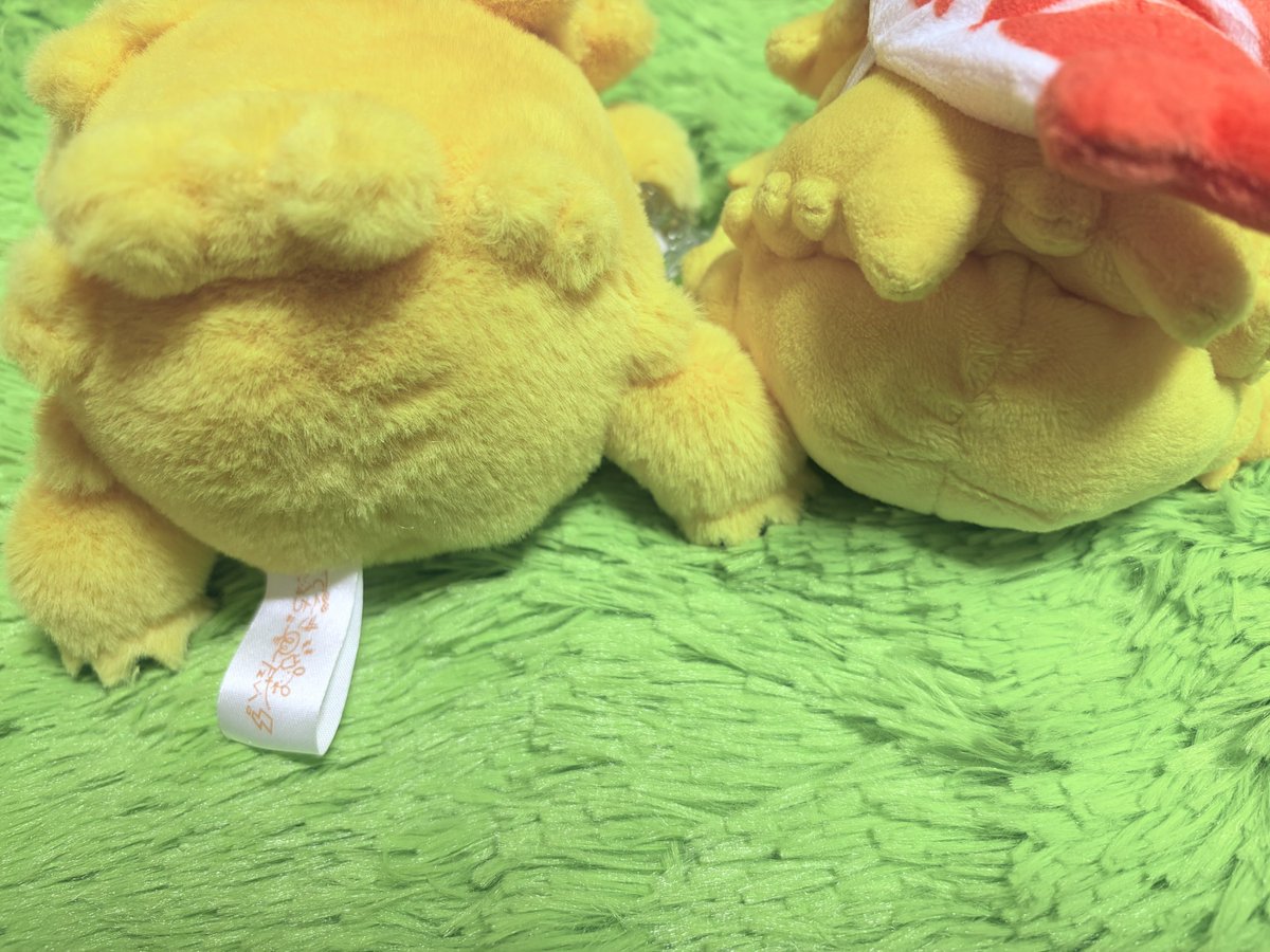 omochiri_12's tweet photo. バチュがとうございます。 https://t.co/PuGltgmW8n