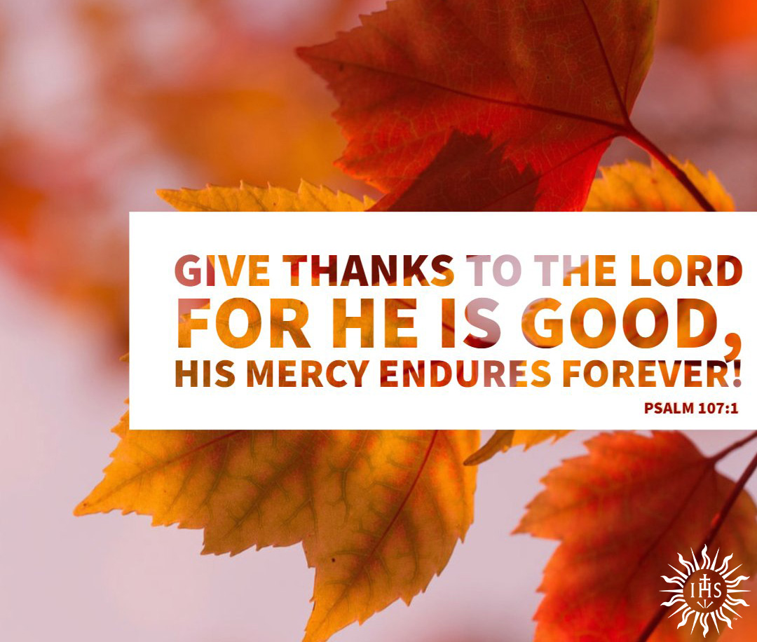 jesuitnews's tweet photo. Happy Thanksgiving to everyone in Canada, including our #Jesuits and colleagues! https://t.co/YLBi5Q4lyq