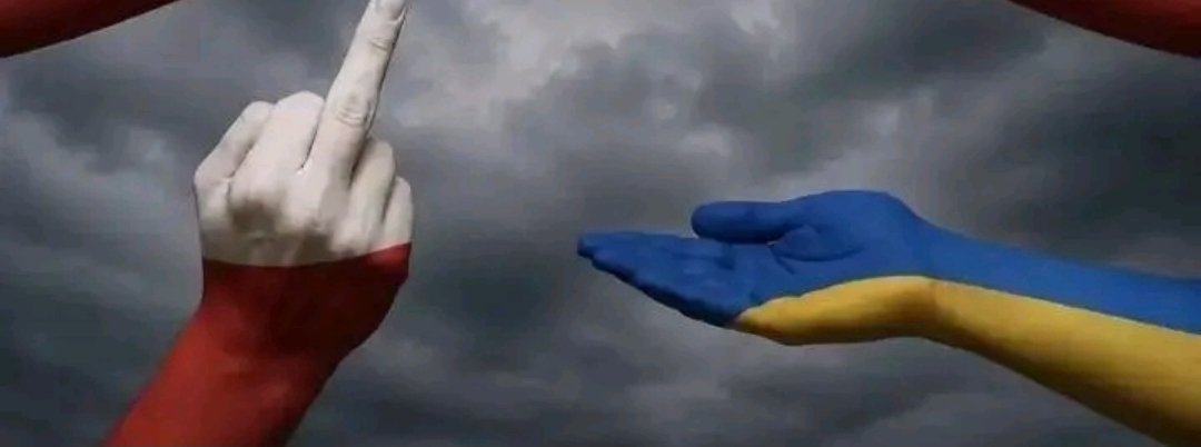 KrzychuKillzook's tweet photo. Jestem z Polski, nie popieram ani nie wspieram ukrainy i ukraińców.
I am from Poland; I do not support or back Ukraine and Ukrainians.
I have never given a cent to beggars from UA. https://t.co/GP2lYI6B8p
