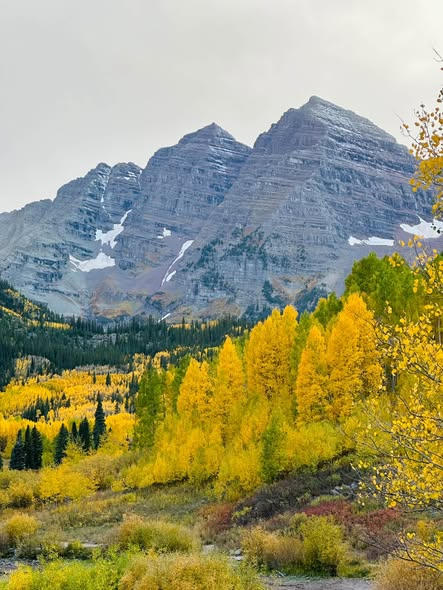 Kaitlin101o's tweet photo. Colorado offers unique charm and stunning scenery in every season, making it a great place to take perfect photos. Here are some photos I’ve taken. https://t.co/Q4w3zUAFWL