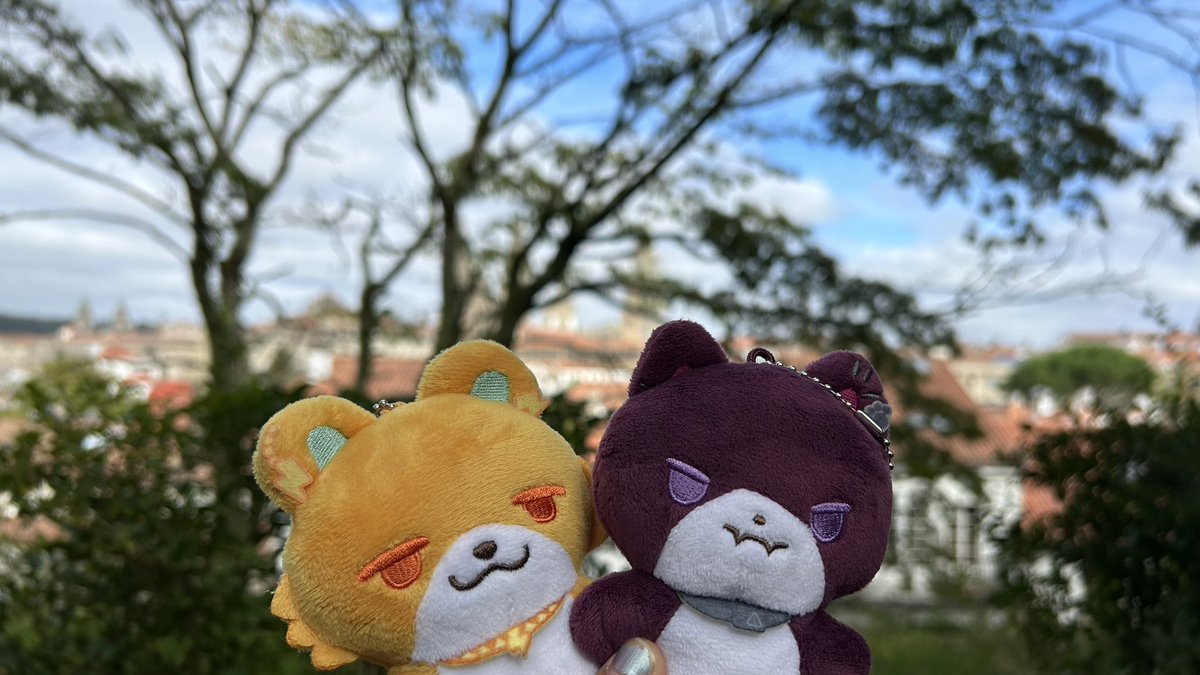 kaede__3563's tweet photo. これは留学先まで着いてきてくれたリトテツたうんズ https://t.co/I4HZN68PYo