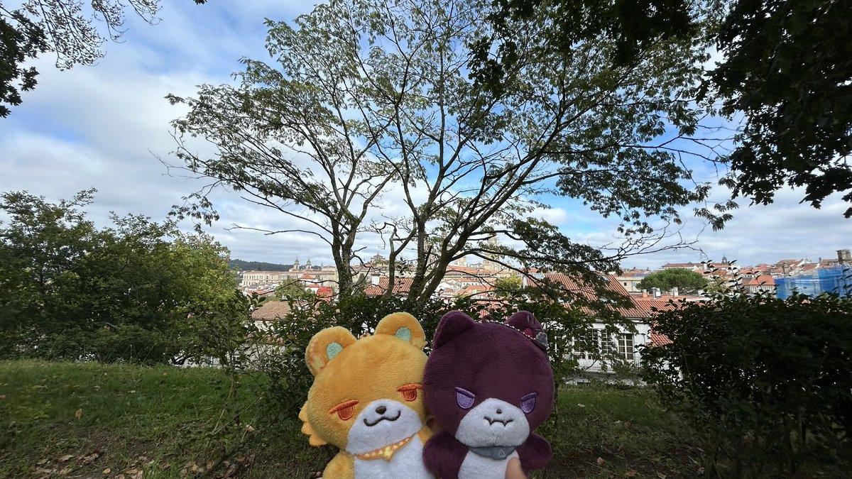 kaede__3563's tweet photo. これは留学先まで着いてきてくれたリトテツたうんズ https://t.co/I4HZN68PYo