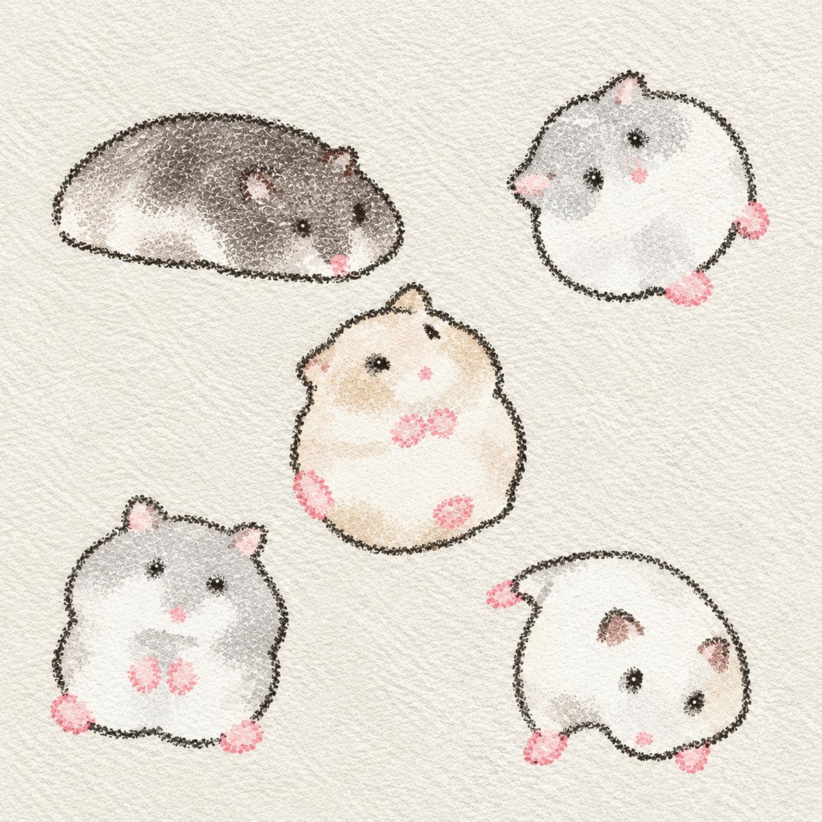 TweetsOfHamster's tweet photo. https://t.co/piHqk41X22