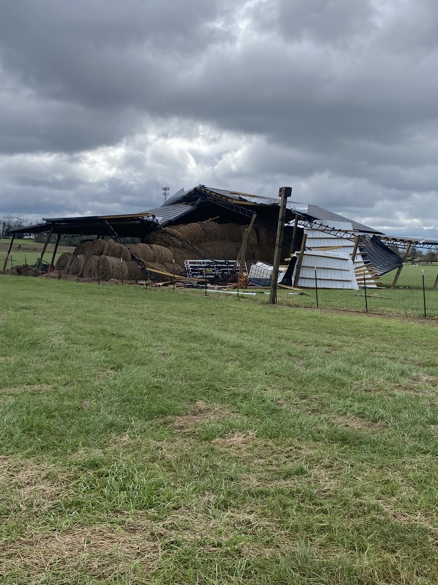 FDACS's tweet photo. Today, Florida Commissioner of Agriculture Wilton Simpson announced that Florida farmers, ranchers, and growers impacted by Hurricane Isaias can now apply for interest-free loans. 

Eligible agriculture and aquaculture producers can apply for loans of up to $500,000 to restore, repair, or replace essential physical property, including fences, equipment, greenhouses, and other buildings, or to remove debris or restock aquaculture.

Learn more: https://t.co/sM3EA3koQp