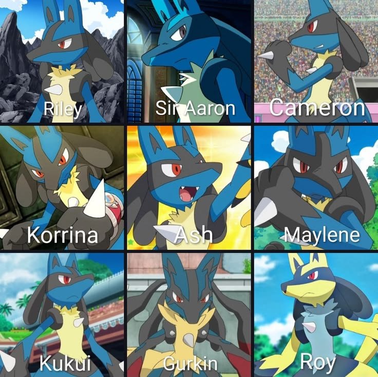 DailyLucarioX3's tweet photo. https://t.co/cW7OZGm9fH