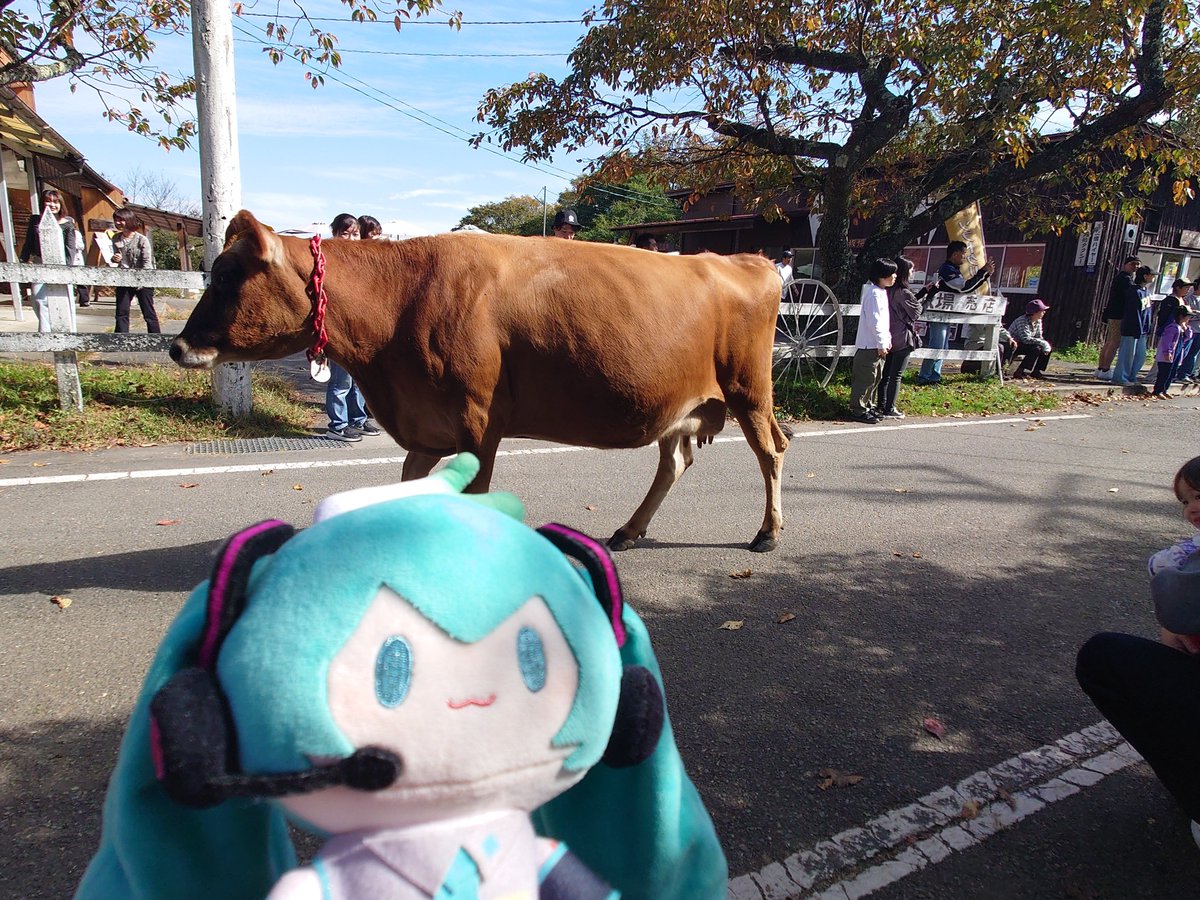 takyashi_chatra's tweet photo. ほんとお金ないからさ 直イベントじゃなくて、ぬいとお出かけくらいが身の丈にあっとるのかもね！でもライブはたまにいきたいなっ https://t.co/YLIUNuTUUs