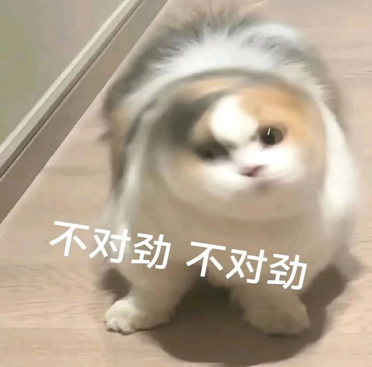 Maxq5xs's tweet photo. 为什么大家的帖子流量那么高？

难不成我被做局了？

#蓝朋友 #互浇 #保持活跃 https://t.co/Ozu6qAGyrF