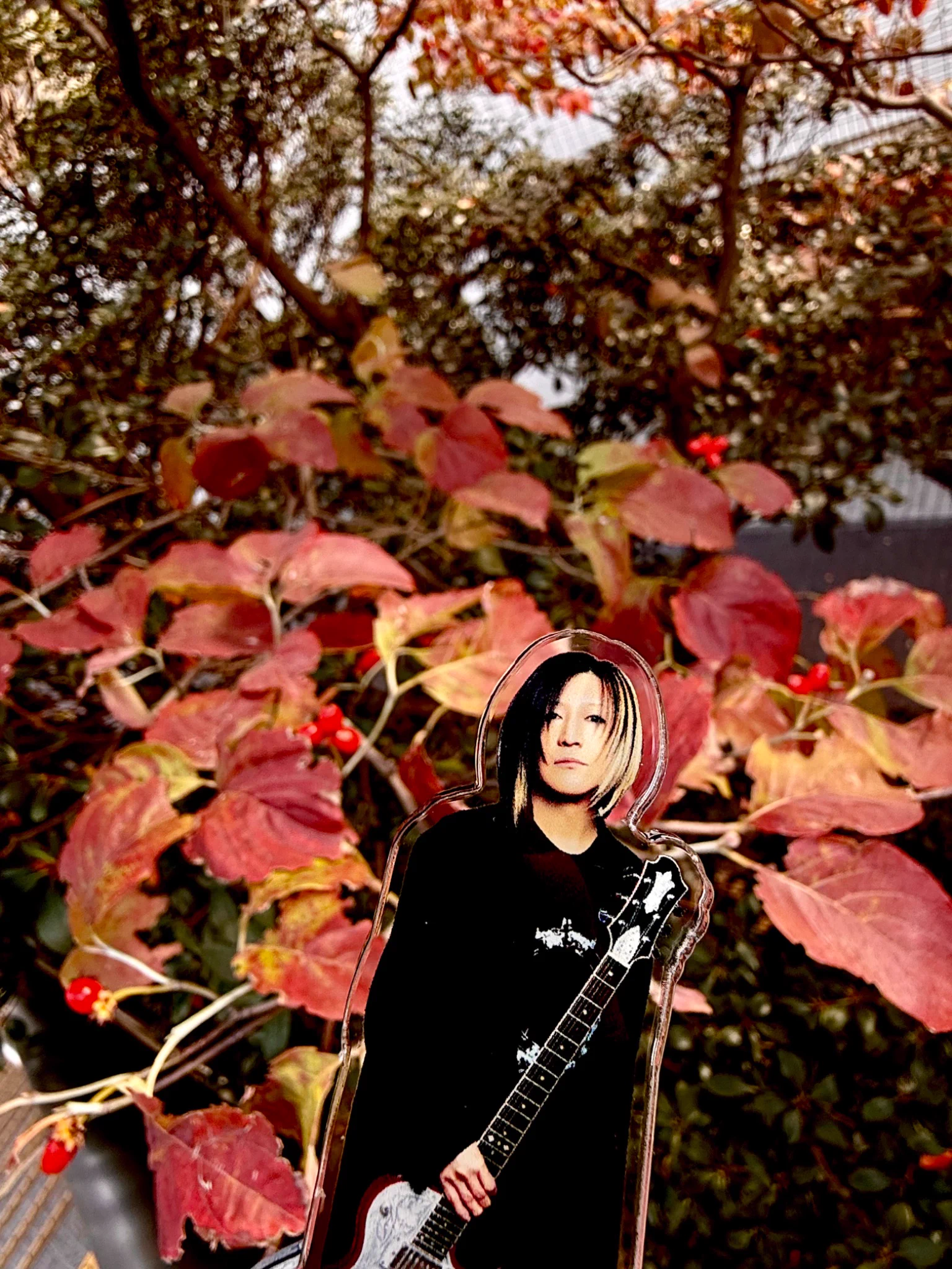 STUDIO HISASHI with Anime on X: 