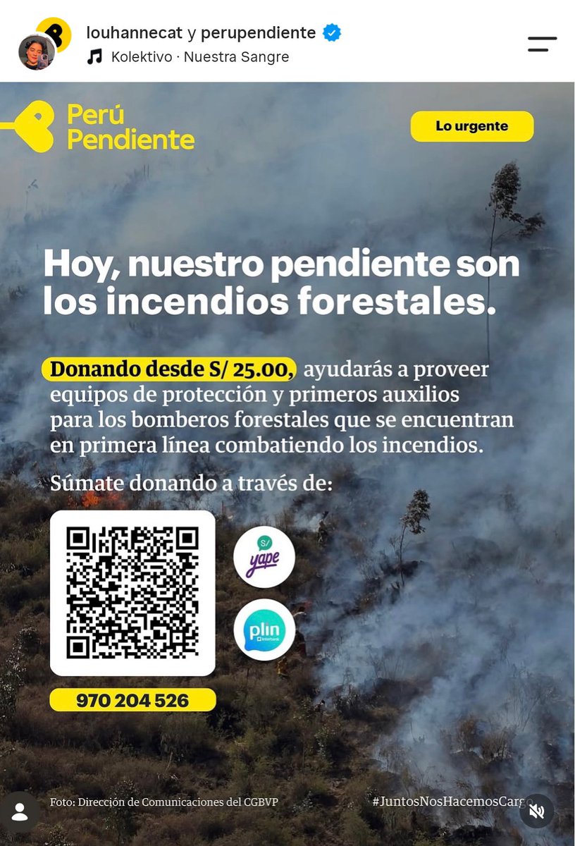 thvianyel's tweet photo. PERÚ PENDIENTE ESTA RECOLECTANDO DONACIONES ECONÓMICAS NACIONALES E INTERNACIONALES PARA LA AYUDA DE PIRMEROS AUXILIOS FRENTE A LA SITUACIÓN DE INCENDIOS FORESTALES QUE SE VIENE DANDO EN EL PERÚ 🚨🚨🚨 https://t.co/59veSAuSi6