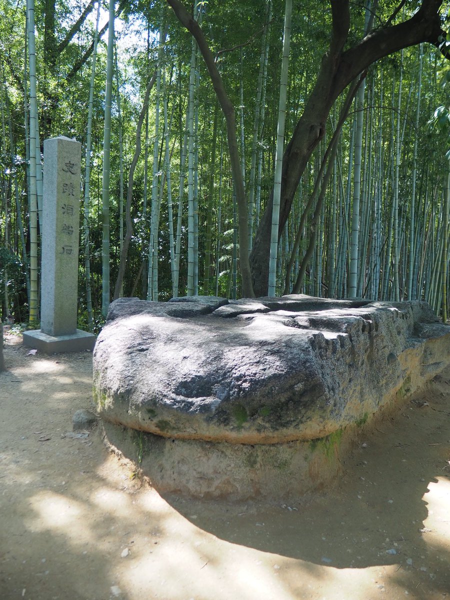 yasaisyou's tweet photo. 酒船石遺跡。 https://t.co/mhc8zOvajv