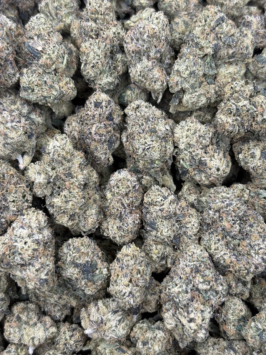 JayJiggaa's tweet photo. Shop open. 📲hmu if you need a reliable plug. Also #mobile at that and only sell #za.
#katyplug #cypressplug #mocityplug
#Westchaseplug #westhimerplug #pearlandplug #southsideplug #plugonthenorth #baytownplug. 📲📲3465409333 https://t.co/hUHVyiI1Nq