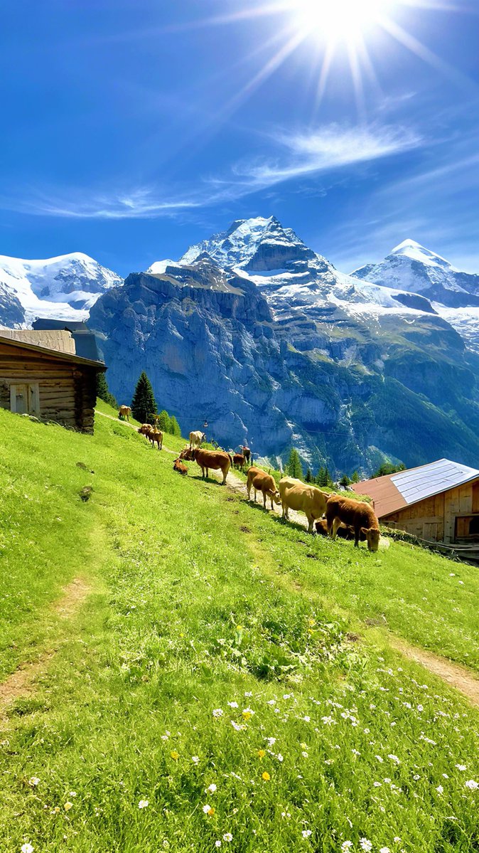 viewsoff's tweet photo. Switzerland 🇨🇭 https://t.co/aDPNOQ8xsC