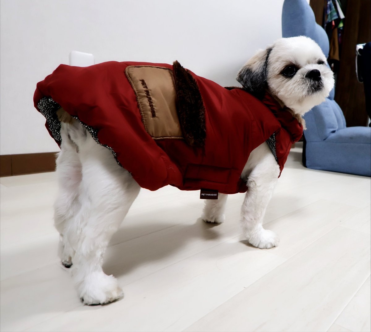 ys_odyssey's tweet photo. 今日は冬服を買いに行ってきたよ！
２着あれば良いかと思ったけど選びきれず３着買っちゃった！ https://t.co/If74XK9N1p