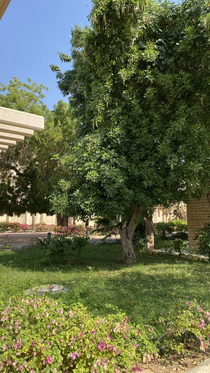 NloAsiri's tweet photo. ☀️👩🏻‍🏫 https://t.co/uNt3d6Q9Mt