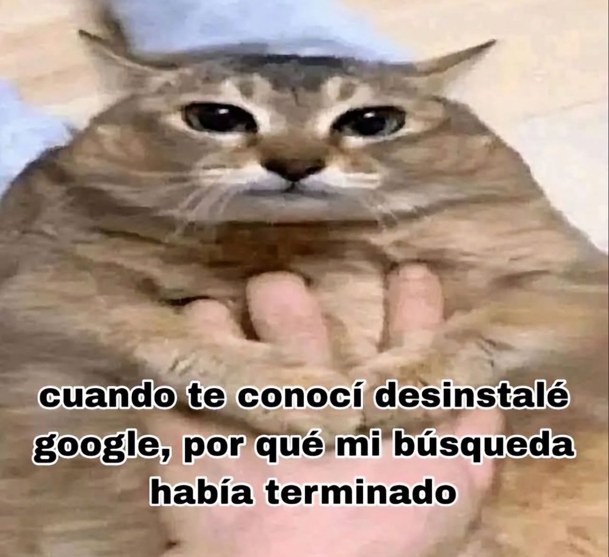 skereunpesado's tweet photo. https://t.co/ofmqtoxCg7