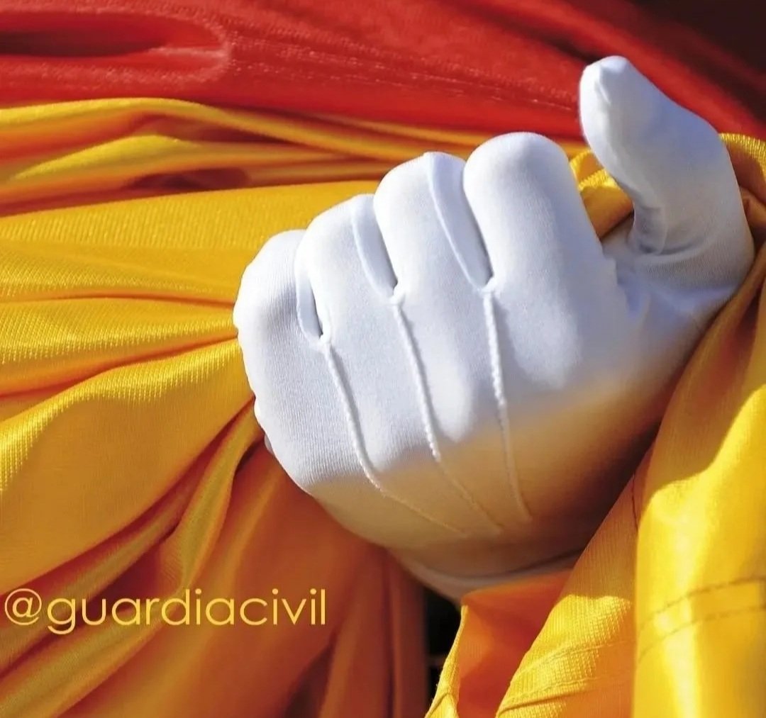 FormacionySalud's tweet photo. 12/10, #DFN2026 #DFN26
#DíadelaFiestaNacional
#12octFiestaNacional 🇪🇦

Deseamos a la@guardiacivil en el día de su patrona, la #VirgendelPilar, un Feliz Día !!!!.

@EjercitoTierra 🇪🇦 @Armada_esp
@EjercitoAire 🇪🇦 @UMEgob

#ParaServiryProteger #ServicioyCompromiso https://t.co/YMisOnQJrF