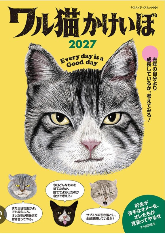 nagara_syoten's tweet photo. 『 '27 ワル猫かけいぼ』
#八重洲出版

🐱ワル猫四銃士をメインキャラクターとした家計簿
🐾 家計簿が続かない方でも続けやすい 1冊です

#猫 #ワル猫 #家計簿 #簡単家計簿 #岐阜市 #長良書店 https://t.co/AYpKU5RLyE