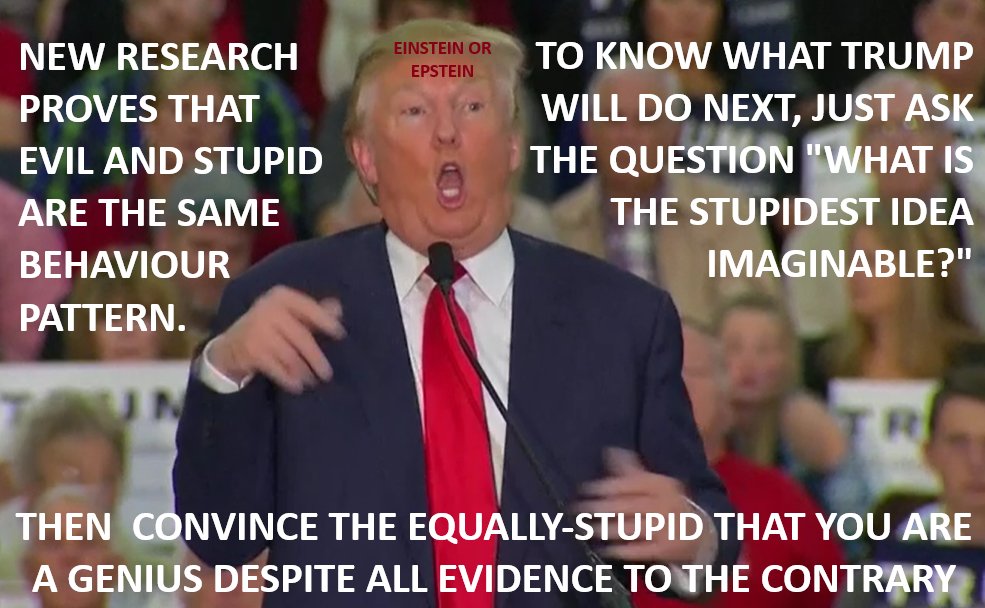 ChrisTheMassive's tweet photo. From Epstein collaboration, bankrupting casinos, nuke hurricanes, inject bleach, election rigging, global tariffs, DOGE, Canada, Greenland, Iran, war-crimes, war-profiteering... now trying to buy diesel from Russia. He can't get any stupider, his brain has completely rotten away. https://t.co/tJXSSVberj
