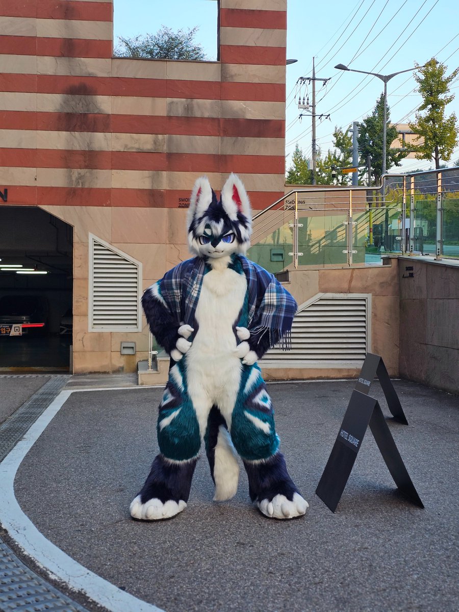 Zerribbo_2nd's tweet photo. 프레일님 멋있더라구~~
목도리랑 색깔이 정말 잘 어울리셨어요 https://t.co/TRYROlVh7C