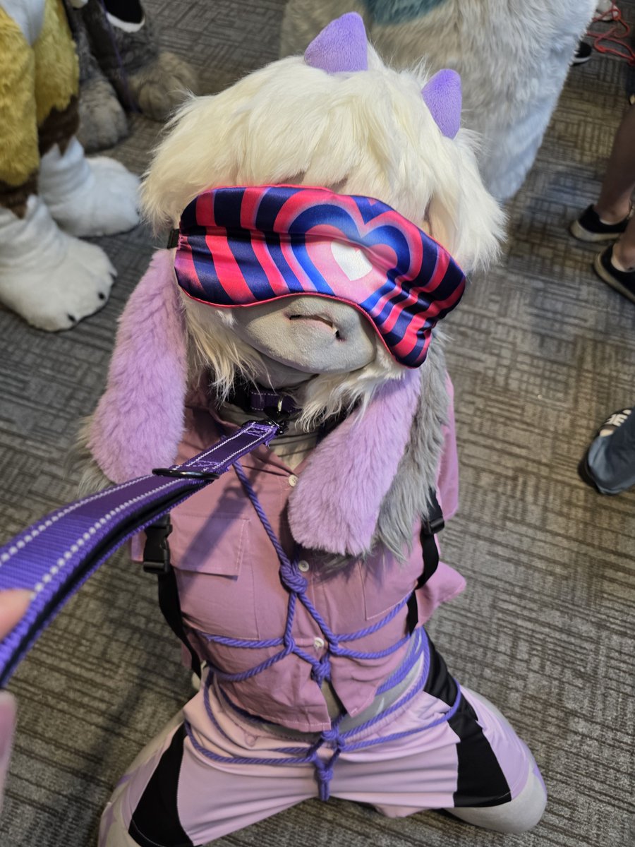 HypNovis's tweet photo. #FursuitEveryday #kigurumi #hypnosis #Furraid https://t.co/DNQBXQQEXo
