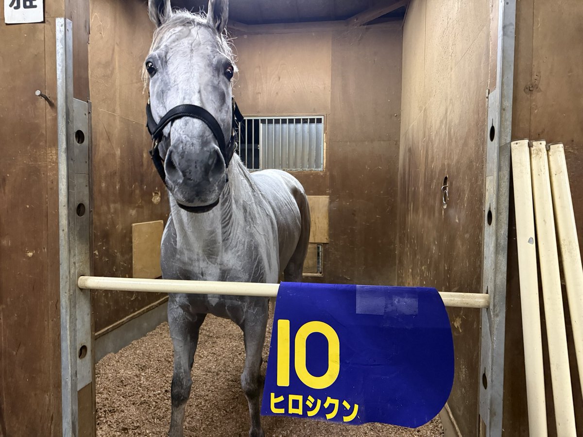 YOLO_Qmuin's tweet photo. 本日の担当馬成績！その2

12R 南部杯   ヒロシクン   11着

2度目の挑戦となった南部杯
外枠から積極的に先行策へ
なんとか食らいつくも4コーナーで限界が...

なかなか経験できない中央上位勢との競馬
この真っ向勝負が糧になると信じて

これからもヒロシクン https://t.co/qaGYoqge0E